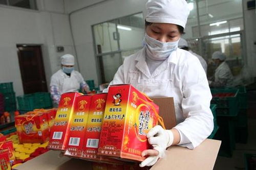 红火产业，链动城乡 辣椒文化如何借力仓储服务成为县域经济新引擎